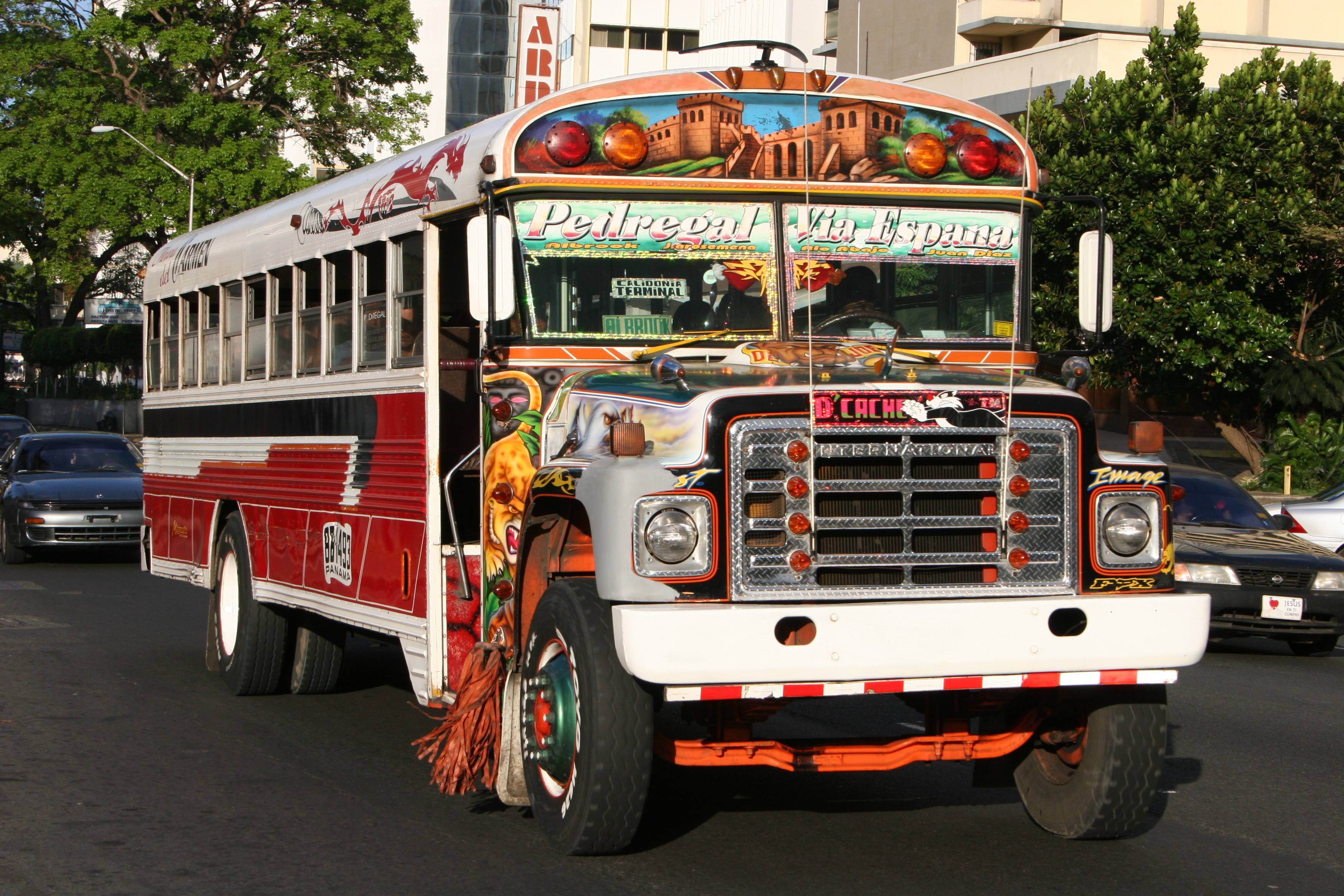 cool colorful buses