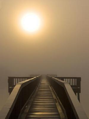 Fishing Pier in Foggy Sunrise 4724
