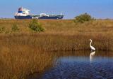Ship & Egret