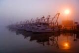 Fishing Fleet in Dawn Fog 4647