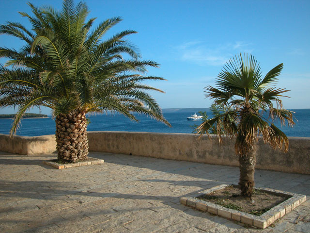 DSCN4249.JPG