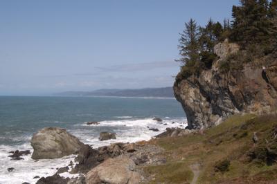 DSC_2786- Web.jpg