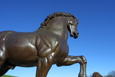 CRW_3463.jpg