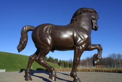 CRW_3462.jpg