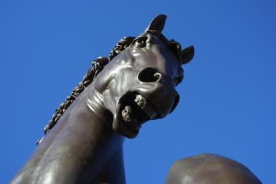 CRW_3465.jpg