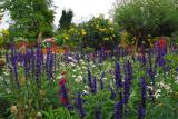 flowers-1.jpg