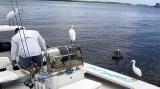 Inspecting the catch