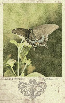 antique_engraving