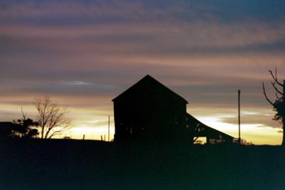 Morning on farm