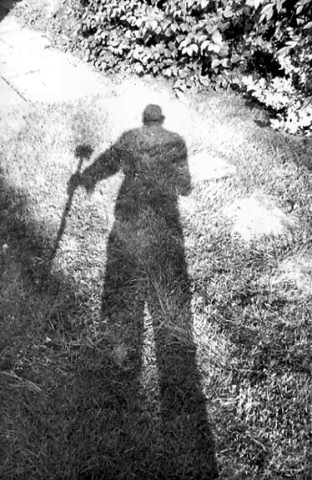 shadow100-gdn.jpg