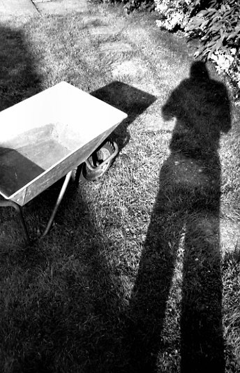 shadow101-gdn.jpg