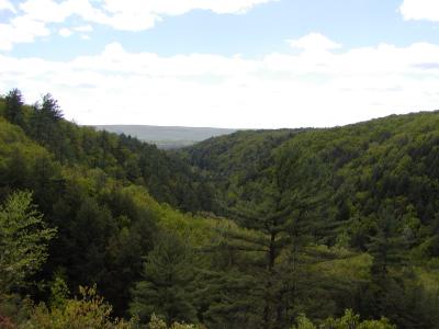 Bushkill Falls, Pennsylvania 2002