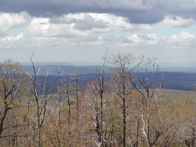 Ricketts Glen State Park, Pennsylvania 2002