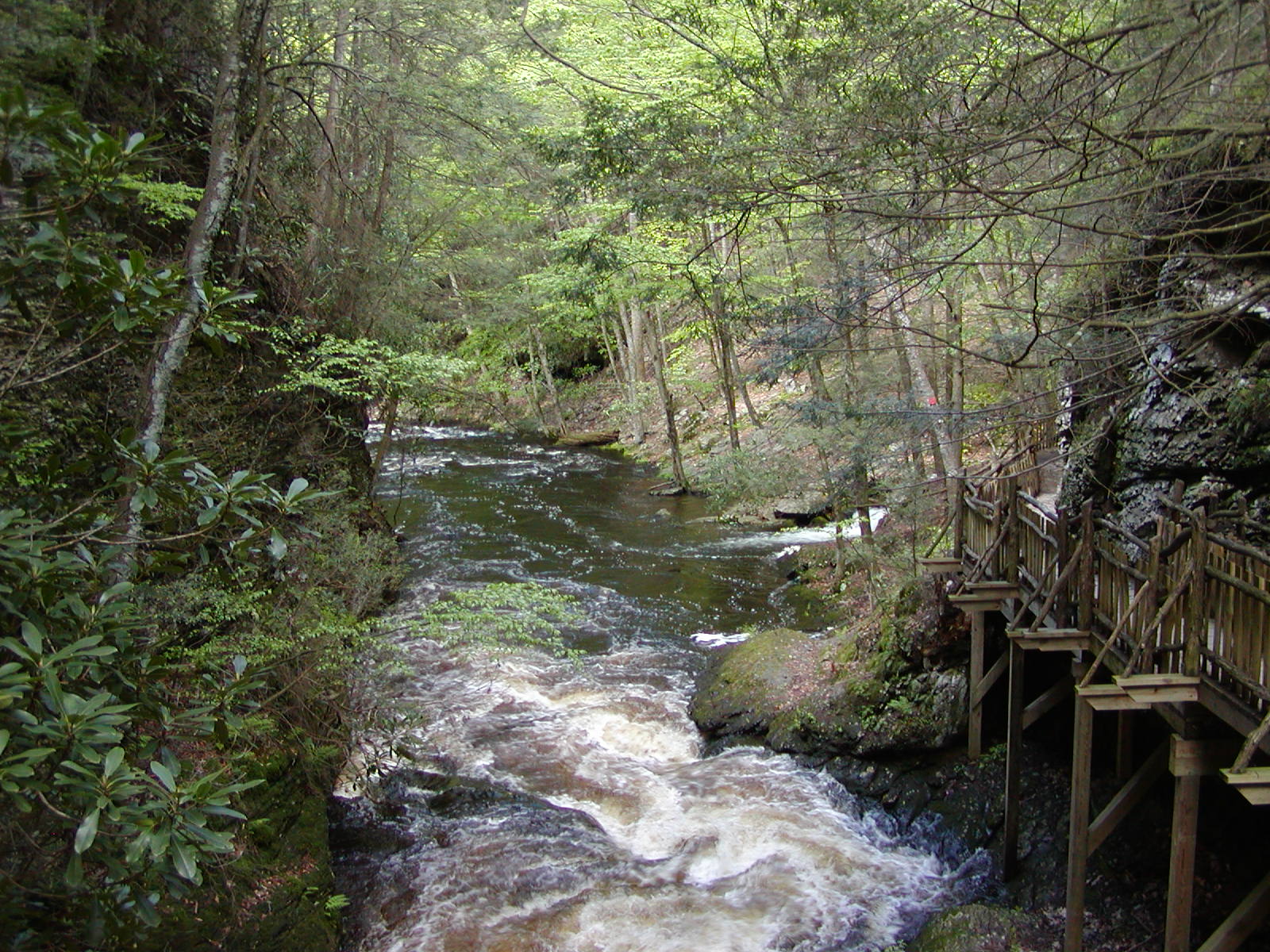 P5190033.JPG