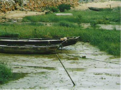 SW2.jpg