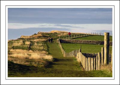 Fence and footpath, Hive Beach, Dorset (1744)