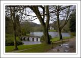 Through the trees ~ Stourhead