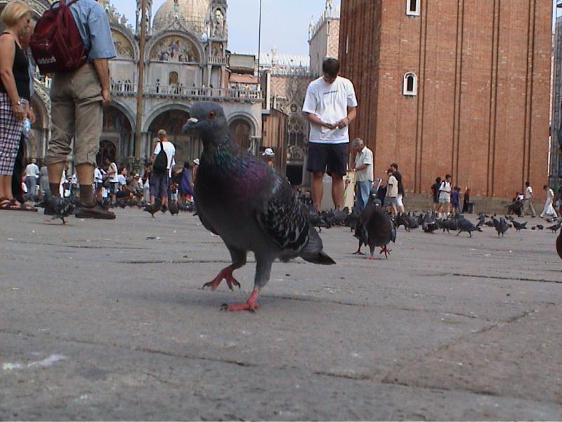 Venice061.JPG