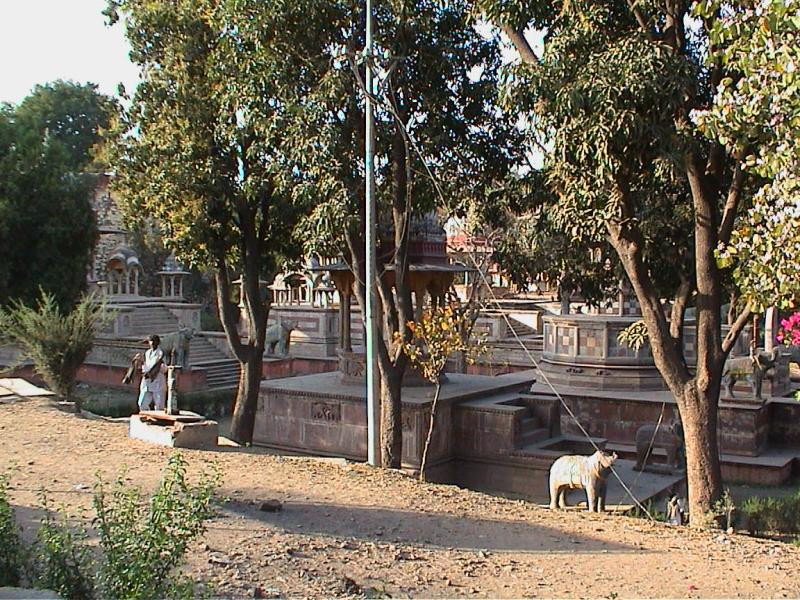INDIA255.JPG