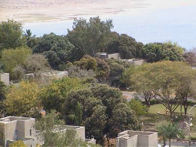 Down-the-hill from the water tower