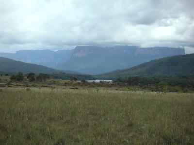 Savannah & Tepui