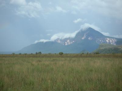 Savannah & Tepui