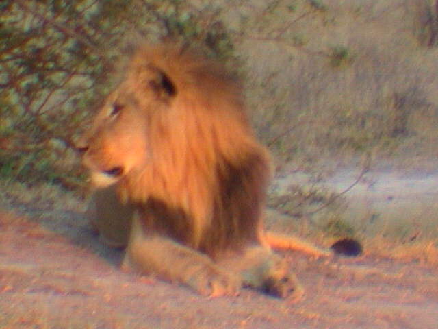 ZALI09.jpg