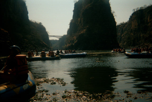 ZSWW01.JPG