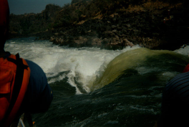 ZSWW03.JPG
