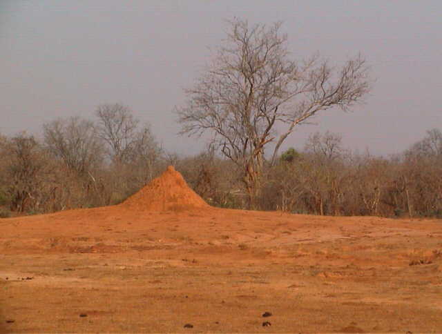 zsmi07.jpg