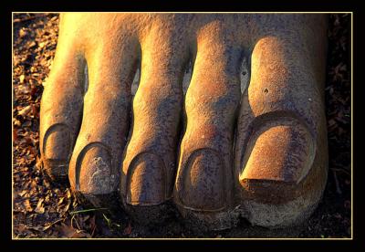Rusty Toes by Fred