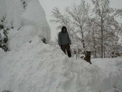 Playing in the snow