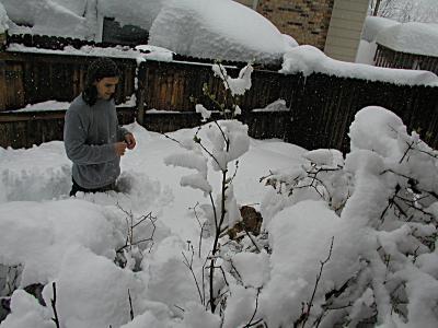 Playing in the snow