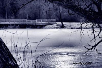 'glimmer on the ice ... '