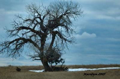 'wind and clouds ... '