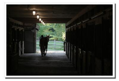 barn copy.jpg