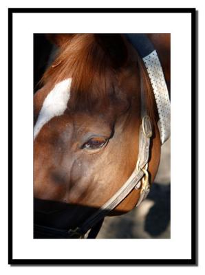 IMG_2076 copy.jpg