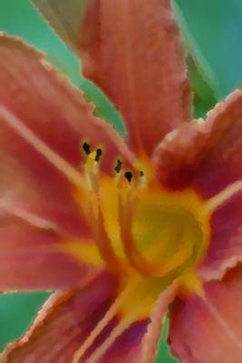 flower
