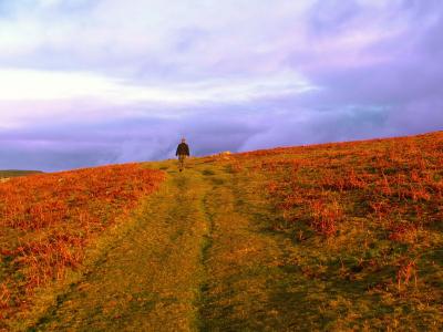 Dartmoor Moods