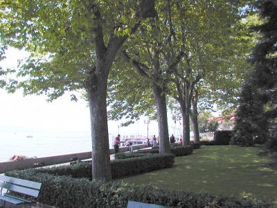 P8084456.JPG