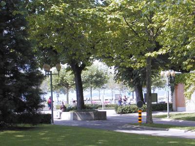 P8084458.JPG