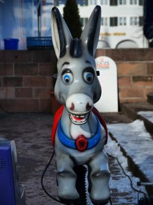 Donkey