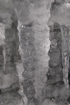 u15/nvuillemin/medium/41923723.glaons.jpg