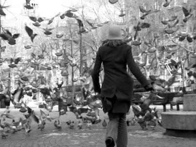 Pigeons.jpg