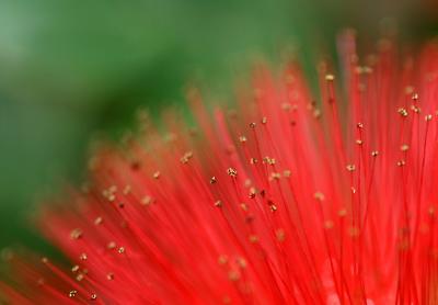 red-green.jpg