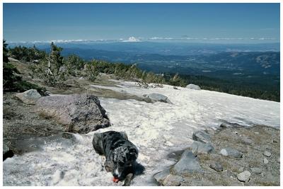 u15/paulandjane/medium/20129667.leroy_cooling_down.jpg