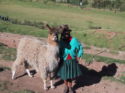 Cuzconian Lady With Lama At Sacsayhuaman