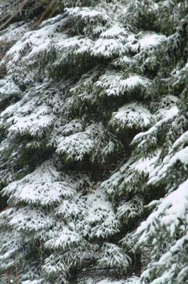 DSCF0960.jpg