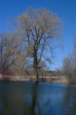 DSCF1497.jpg