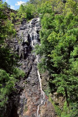 Kondalilla Falls-9.jpg